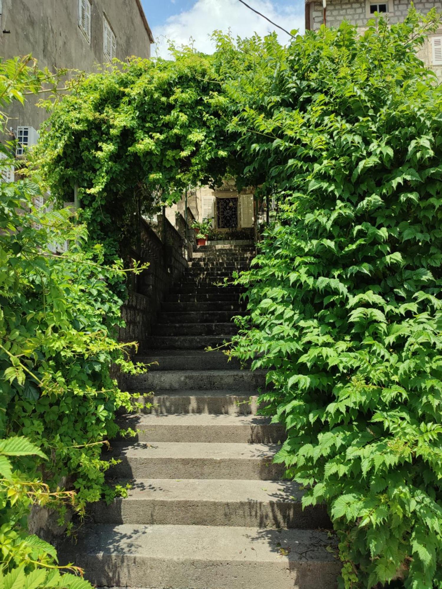 Guesthouse Zmukic Perast Zewnętrze zdjęcie